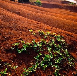 好评如潮作品《梦界狂徒》续作《Dreamsettler》取消开发